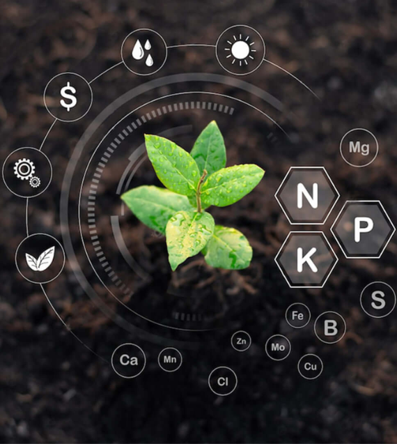 Field Fusion Laboratory